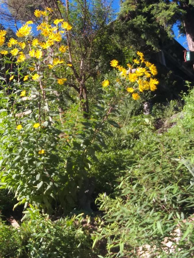 The Brigadiers Cottage, Mussoorie Esterno foto